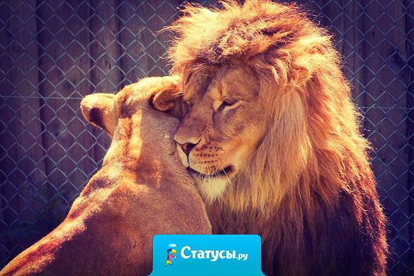 Женское поведение — результат мужского отношения.