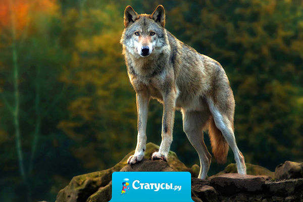 Куда ни глянь, все в курсе моей личной жизни. Кроме меня.