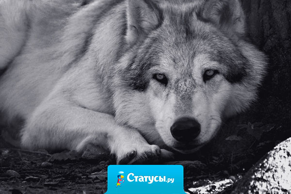 Когда не ценишь то, что есть, всегда чего-то не хватает.