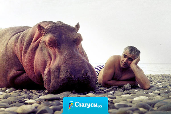 Уж Лето близится… а талии все нет.