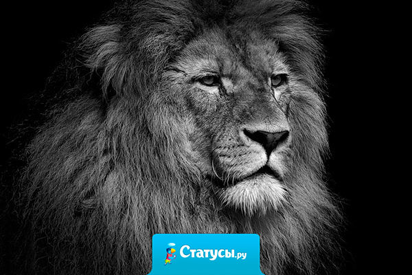 Если человек упрекнул тебя в неблагодарности, выясни, сколько стоит его услуга, рассчитайся и больше не имей с ним дела.