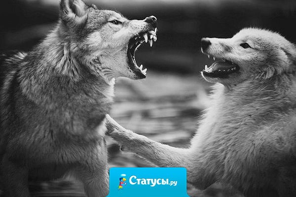 Слова «не надо нервничать» хорошо помогают привести человека в нормальное состояние бешенства.