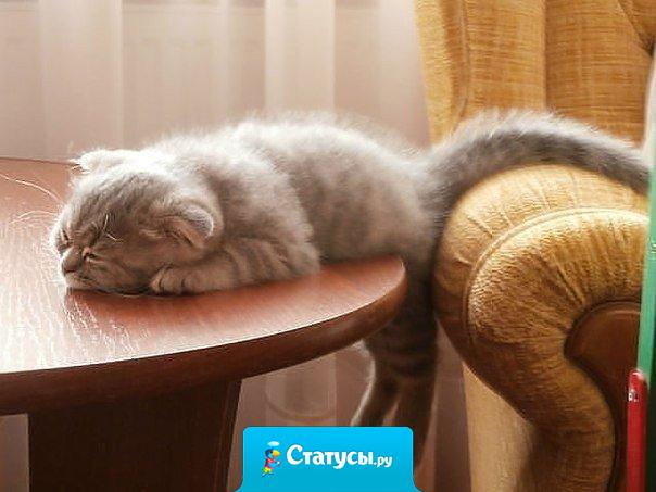 Каждое утро я говорю себе: «Подъем, красотка, нас ждут великие дела!», но внутренний голос шепчет, что если ждут, значит, любят, а если любят, то подождут.