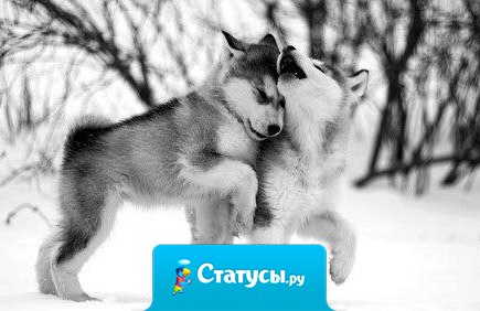 Жизнь всё расставит по своим местам. И каждый будет там, где должен быть. И в памяти останутся лишь те, кого нам не дано забыть…