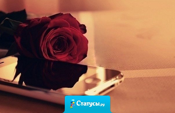 Со временем, даже самый долгожданный звонок может стать ненужным.