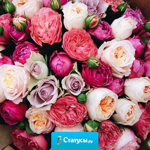 Начните благодарить Бога за то, что у вас есть, и Он даст вам то, чего вам не хватает.