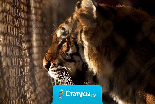 Все могут видеть, как ты выглядишь внешне, но очень мало тех, кто знает что у тебя в душе.