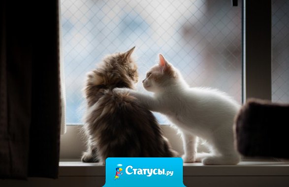 Лучший подарок от друга — это его присутствие и поддержка в трудную минуту.