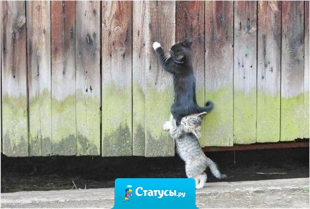 Неважно — скольку у тебя друзей. Важно — сколько из них помогут тебе в трудную минуту и сколько вспомнят о тебе когда им хорошо.