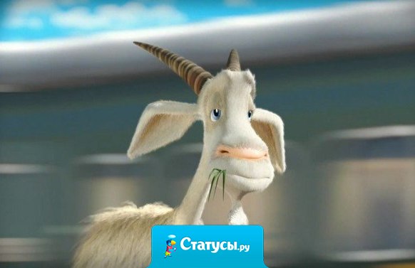 Девушки, не надо обижаться на козлов! Обижайтесь на себя: калитку в огород закрывать надо!