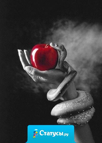 Никогда не рассказывай другим слишком много о себе!  Помни, что в моменты зависти - слепой начинает видеть, немой говорить, а глухой слышать.