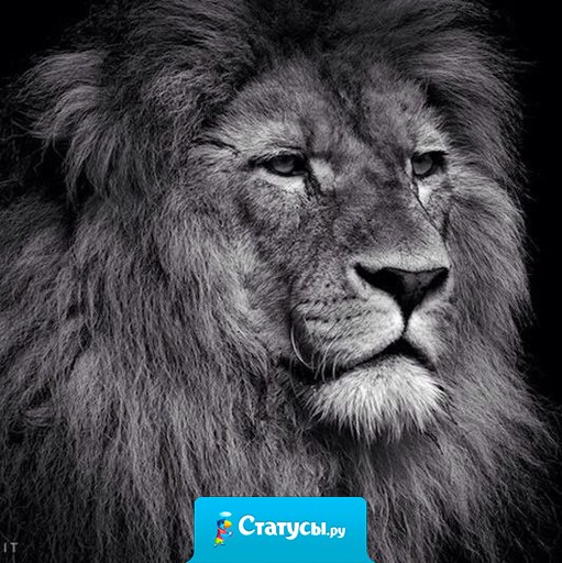 Главное не сломаться, быть сильнее, несмотря ни на что. Тяжёлые времена пройдут, и рано или поздно всё обязательно будет хорошо.