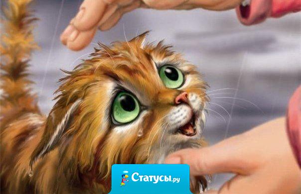 Когда не знаешь, как поступить, поступи по-человечески.