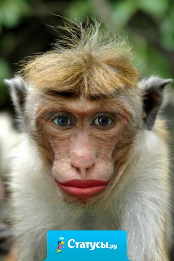 Женихи разбежались, махнули рукой, потому что нельзя быть красивой такой.