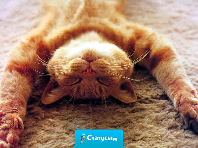 Не надо жить кому-то на зависть… Надо жить себе в удовольствие…