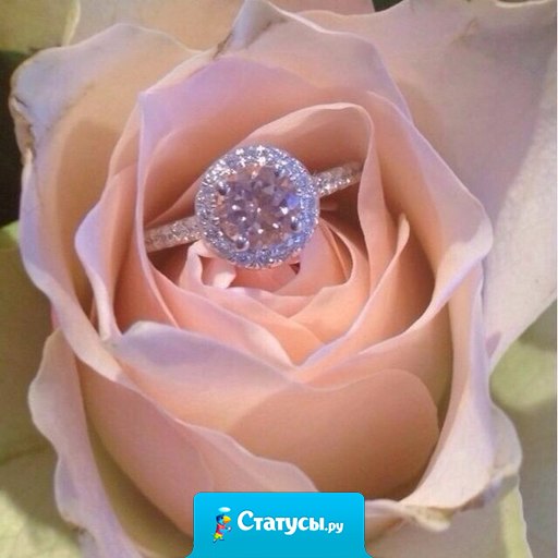 Один много говорил, второй много писал. А третий надел кольцо на палец и делает ее счастливой каждый день!