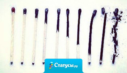 Вот так выглядит терпение... Или слишком много свободного времени.