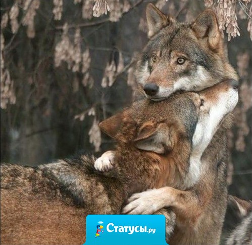 Раньше я думала, что нужно беречь дружбу, хорошие отношения. А сейчас поняла, что нужно беречь себя — от лицемерных людей, которые, улыбаясь в глаза, тихо ненавидят за спиной. Пусть лучше рядом останется один человек, но он будет настоящим.