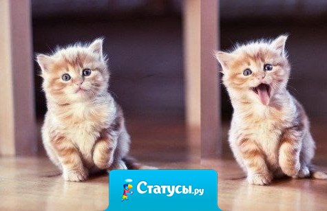 Эй ты! Да, да,ты, по ту сторону экрана. Счастья тебе и огромной любви!