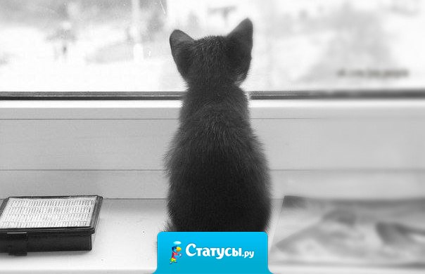 Самое сложное - это так долго ждать, и в самом конце узнать, что напрасно...