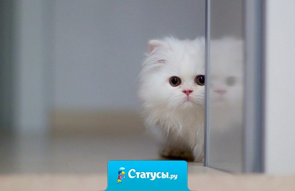 Разрушить всегда легче, чем построить. Обидеть - проще, чем простить. И врать всегда удобней, чем поверить. А оттолкнуть намного проще, чем любить.