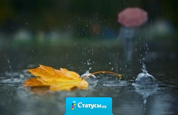 Все проходит — это самая верная истина на свете.