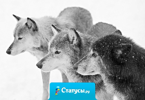 С возрастом меняется многое. Меняется мнение, желания, взгляды, меняемся мы сами.