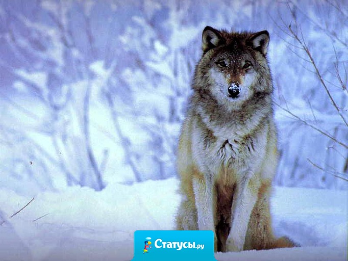 Однажды наступает момент, когда что-то щелкает, и ты начинаешь смотреть на все совсем другими глазами. И больше никогда не будет тебя прежней.