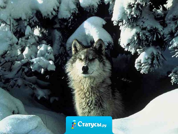 Трудности — это не наказание за прошлое, а испытание ради будущего.