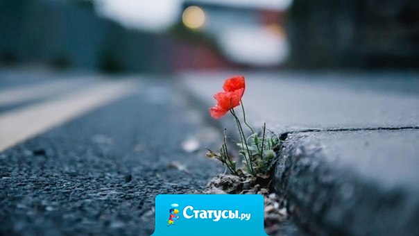 Когда от всего, что свалилось на тебя, ты дойдешь до состояния, что уже не сможешь выдержать, ни в коем случае не отступай. Это именно то место, где изменится твоя судьба.