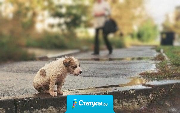 Не жалуйся на жизнь — кто-то мечтает о такой жизни, какой ты живешь.