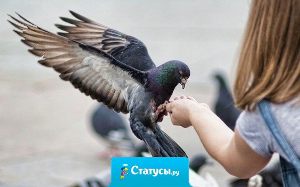 Добиваются успеха лишь те, кто всегда стремится помогать другим. Те, кто ищет лишь свою выгоду, обречены на поражение.