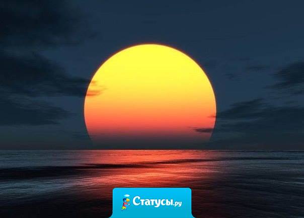 Счастье доступно каждому, и доступно прямо сейчас. Нам нужно всего лишь остановиться и внимательно посмотреть на те сокровища, которые уже окружают нас.