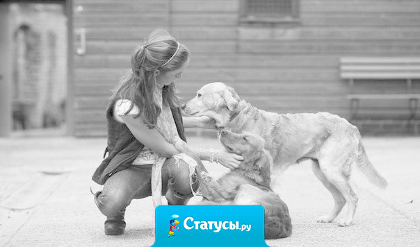 Если ты подберешь голодную собаку и сделаешь ее жизнь сытой, она никогда не укусит тебя. В этом принципиальная разница между собакой и человеком.