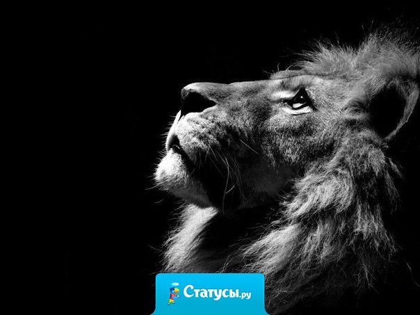 Больно — это когда ребенок, которому остается жить считанные дни рисует жизнь. Сила — это когда инвалид на коляске улыбается тем, кто презирает его. Страшно — это когда малыш ждет маму, а мамы уже нет.  Мы перестали ценить чувства, плача по пустякам.