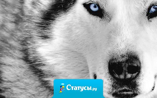 Делай сегодня то, что другие не хотят – завтра будешь жить так, как другие не могут.