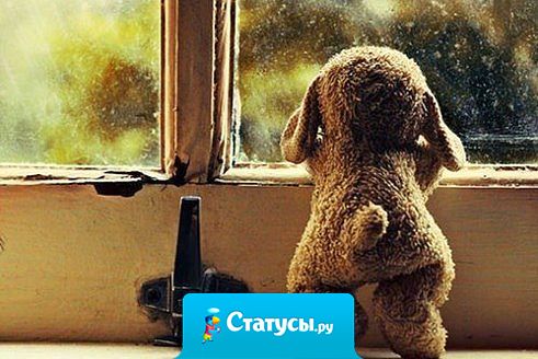 Разочаровавшись в одном, не наказывайте другого. Все люди разные. Не теряйте способность доверять, верить и любить...