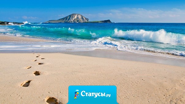 Свободный человек идет своей дорогой: ни дразня попутных собак, ни оборачиваясь на случайный лай.