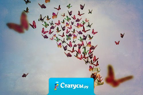 Счастье - это когда в доме нет больных. В тюрьме - нет родных. Среди друзей - нет гнилых...