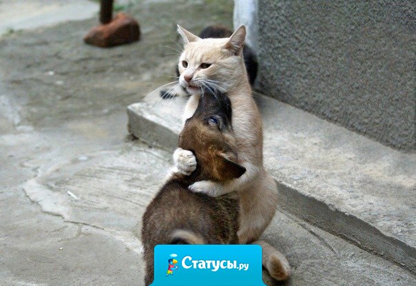 Не предавай, не будь как все.