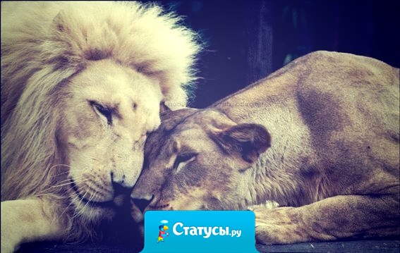 Верность - это такая редкость и такая ценность. Это не врожденное чувство: быть верным. Это решение.