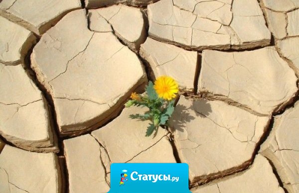 Нельзя ни о чем жалеть в этой жизни. Случилось — сделали вывод и живите дальше!