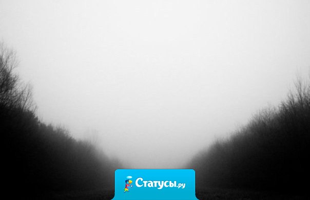 Жаль, что сейчас нет возможности поговорить с некоторыми людьми так, как раньше. Просто в один момент, что-то изменилось и все закончилось.