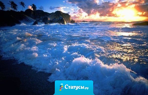 Я как зверь зализываю раны… Я как кофе растворяю горе… Пахну счастьем, солнцем и кальяном... Приезжай, скучаю...  Подпись Море.