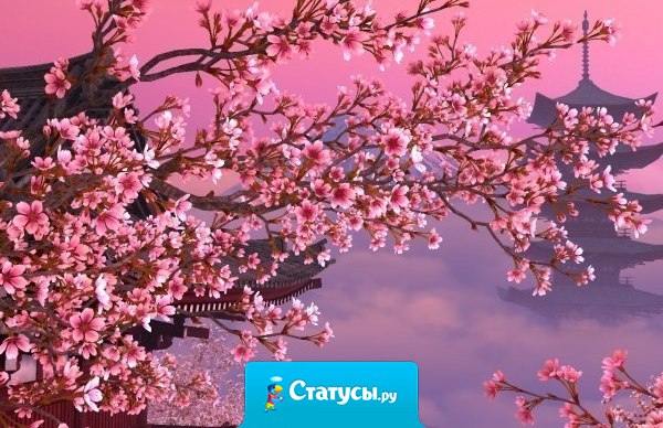 Красивым быть - не значит им родиться, ведь красоте мы можем научиться. Когда красив душою человек - какая внешность может с ней сравниться?