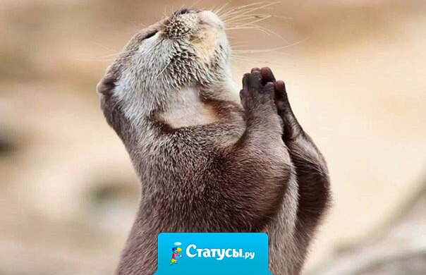 Боже, дай мне силы, терпения, и, на всякий случай, 42 миллиона долларов!