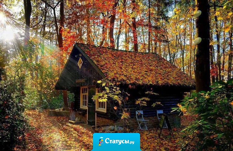 Иногда хочется сбежать от всего именно в такое место...тихое и спокойное.