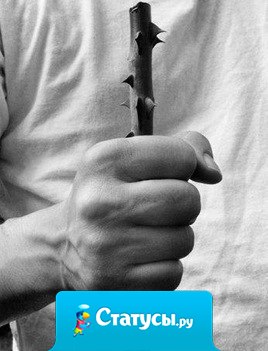 Если Бог дал, значит знал, что выдержишь...