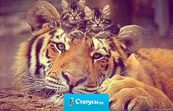 Не важно, кто ты снаружи, главное — кто ты внутри.