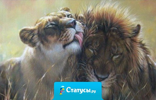 Хорошо, когда есть человек, которого ты больше, чем сильно, а он тебя - сильнее, чем очень...